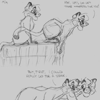 Sequence Image 19