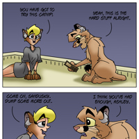 Sequence Image 9