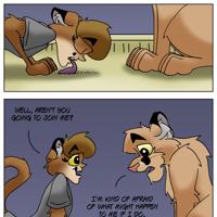 Sequence Image 13