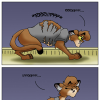 Sequence Image 16
