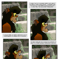 Sequence Image 11