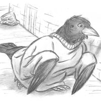Sequence Image 9
