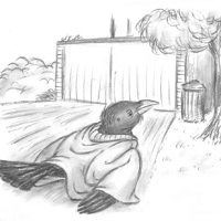 Sequence Image 10