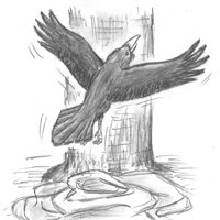 Sequence Image 11