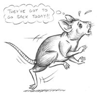 Sequence Image 10