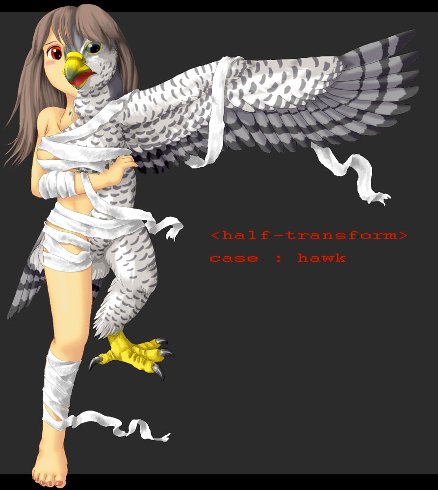 HawkHalfTrans by Edmol