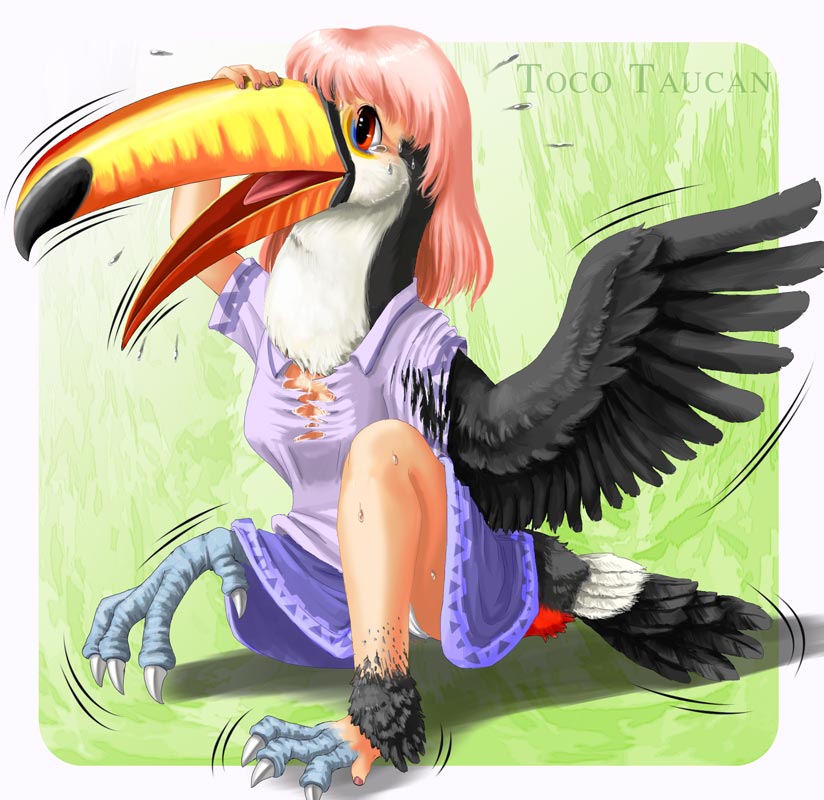 TocoTF by Edmol