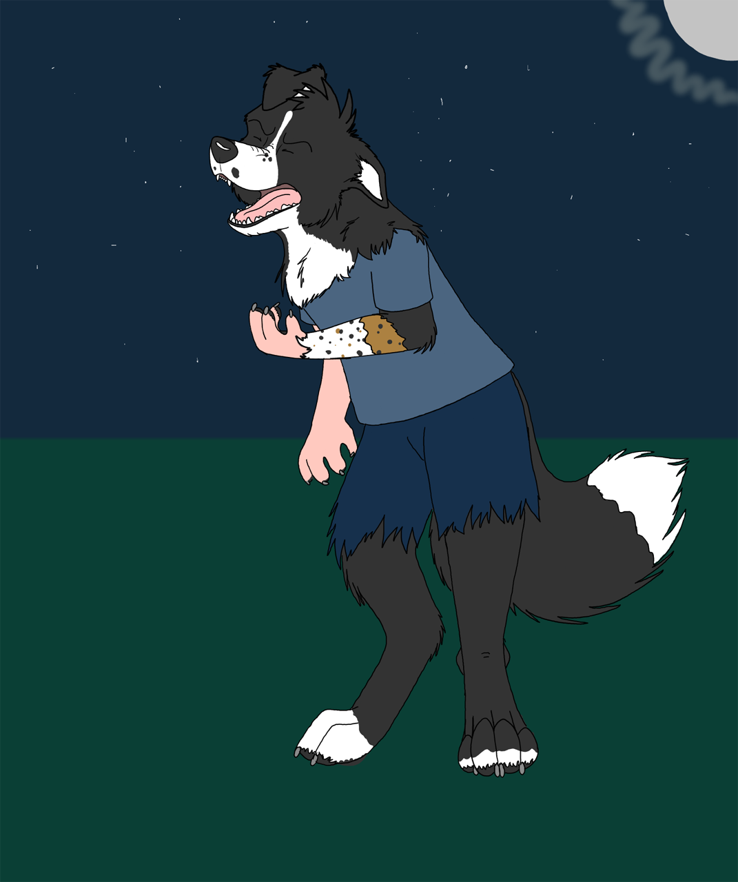 werebcollie by Edthebordercollie