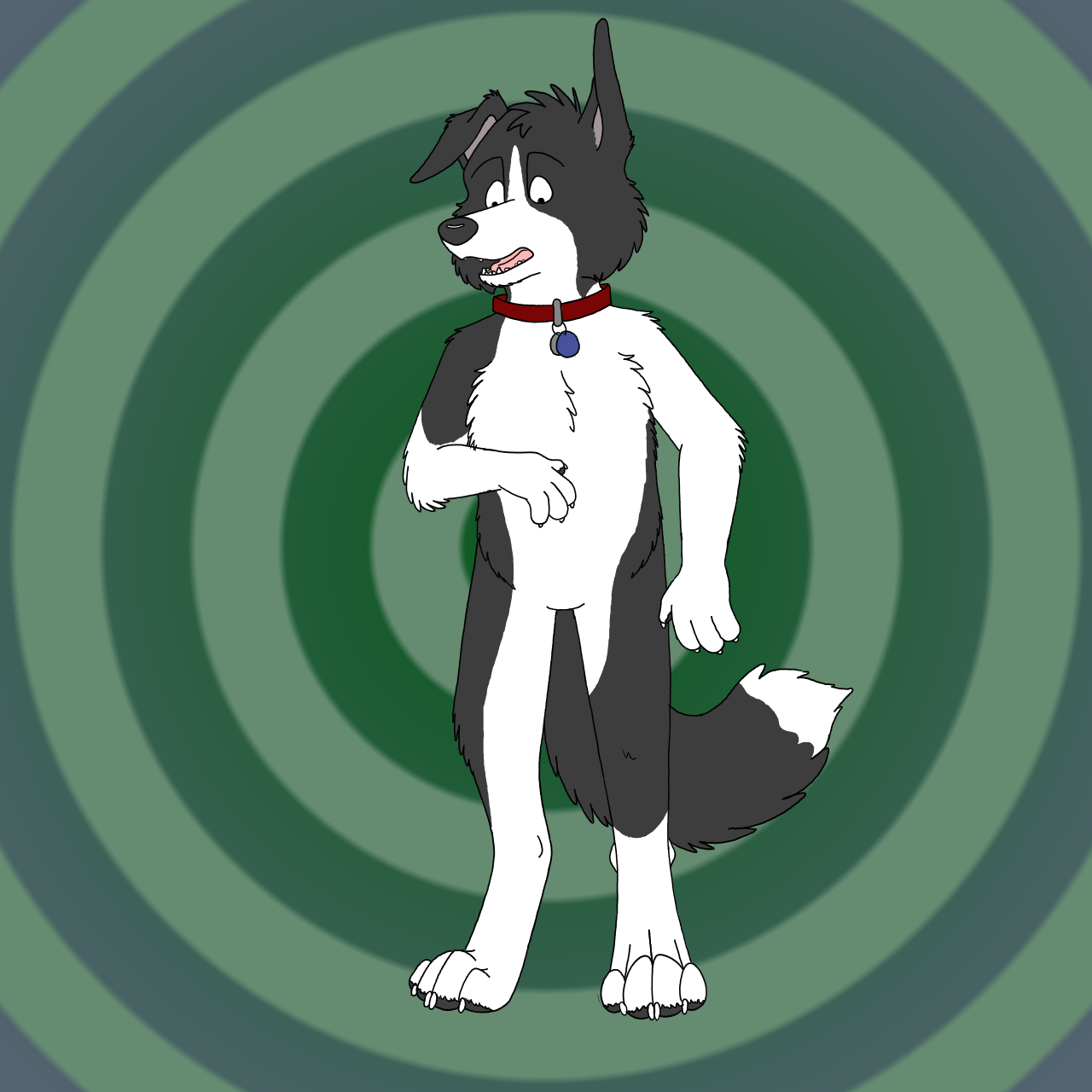 Border Collie feral to anthro TF by Edthebordercollie