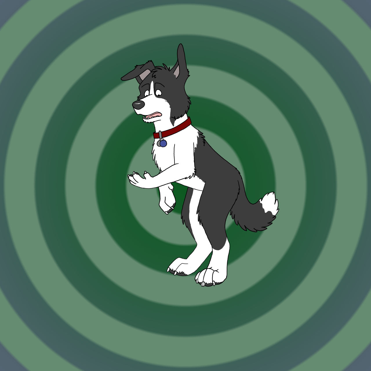 Border Collie feral to anthro TF by Edthebordercollie