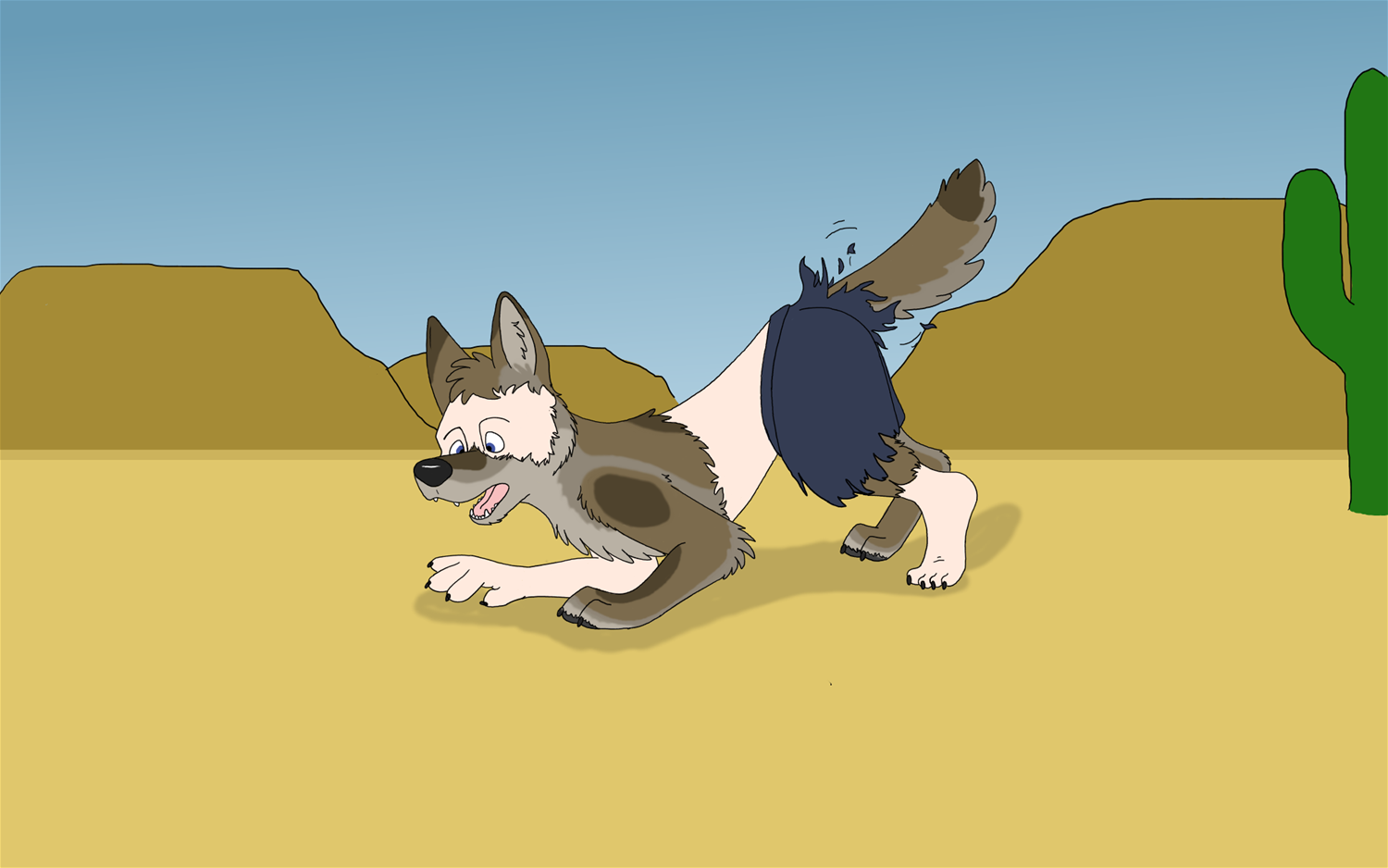 coyote by Edthebordercollie
