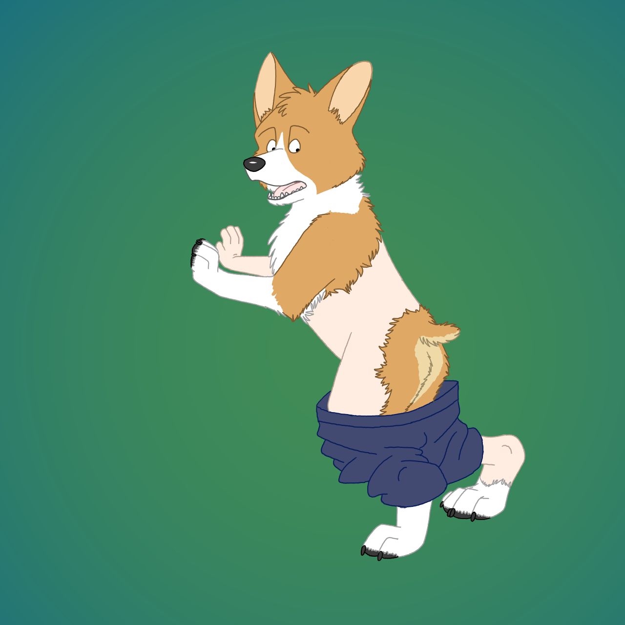 Fluff Butt by Edthebordercollie