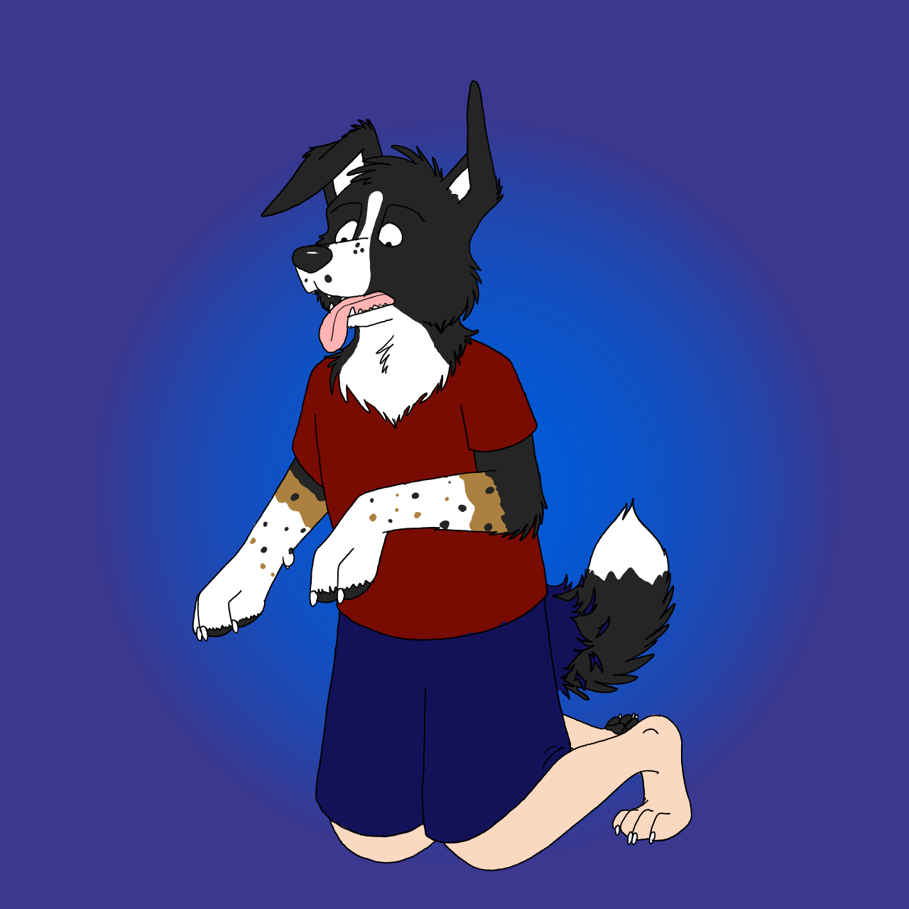 Tail Explosion by Edthebordercollie