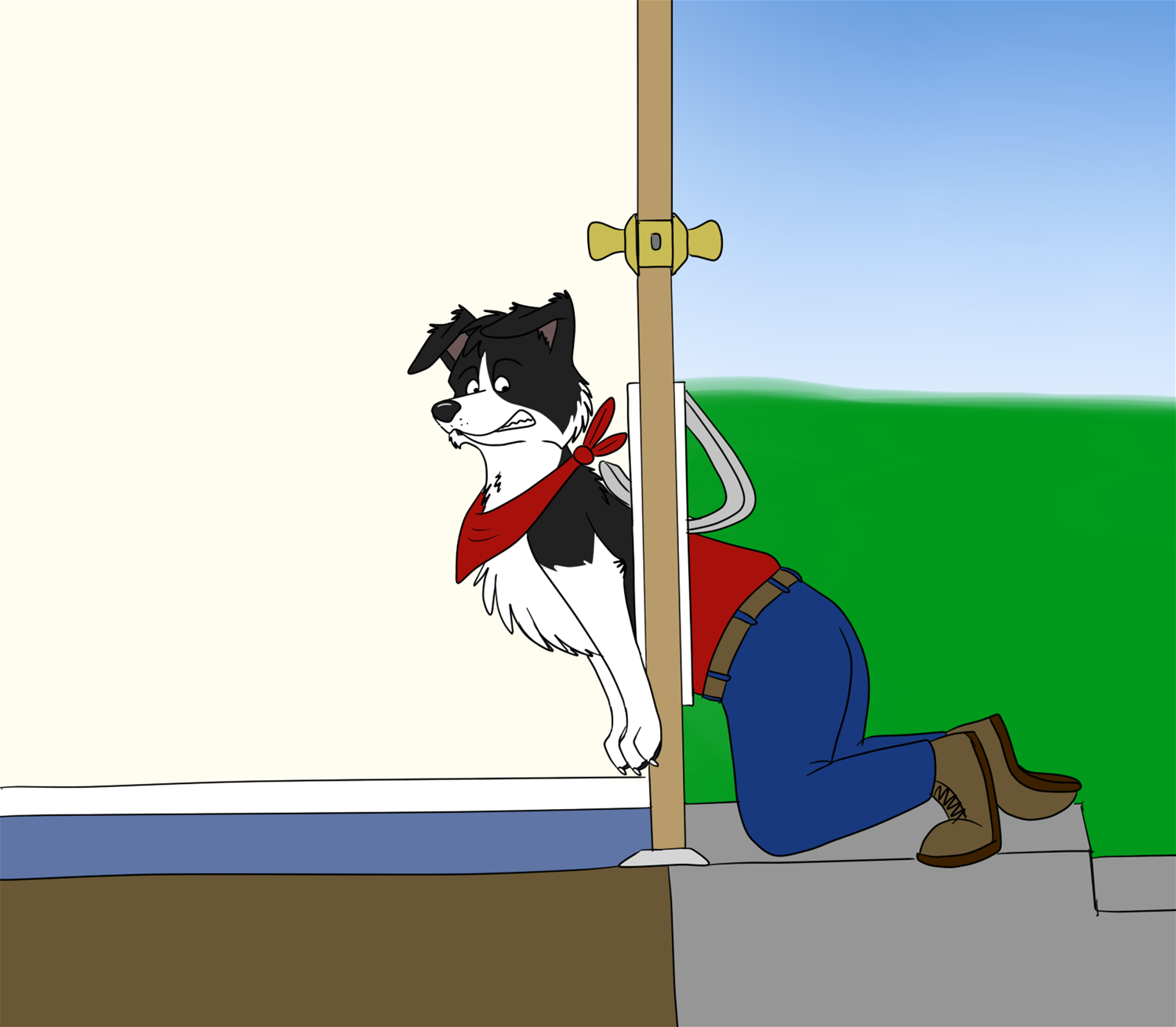 Doggy door TF by Edthebordercollie