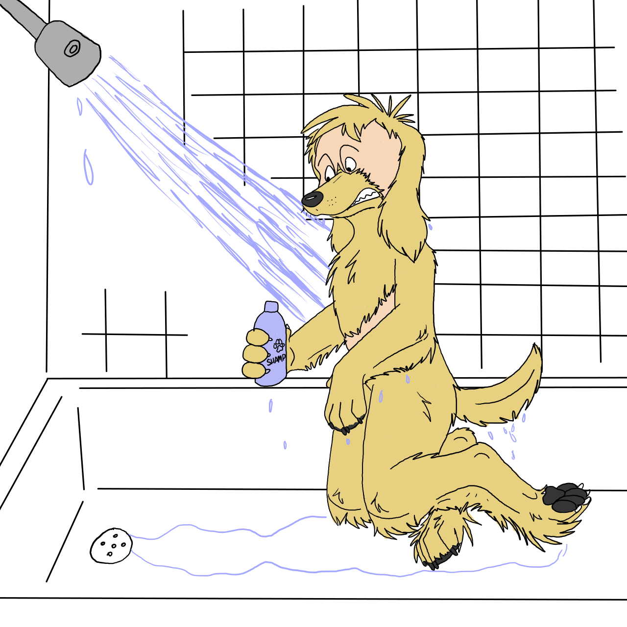 Afghan hound by Edthebordercollie