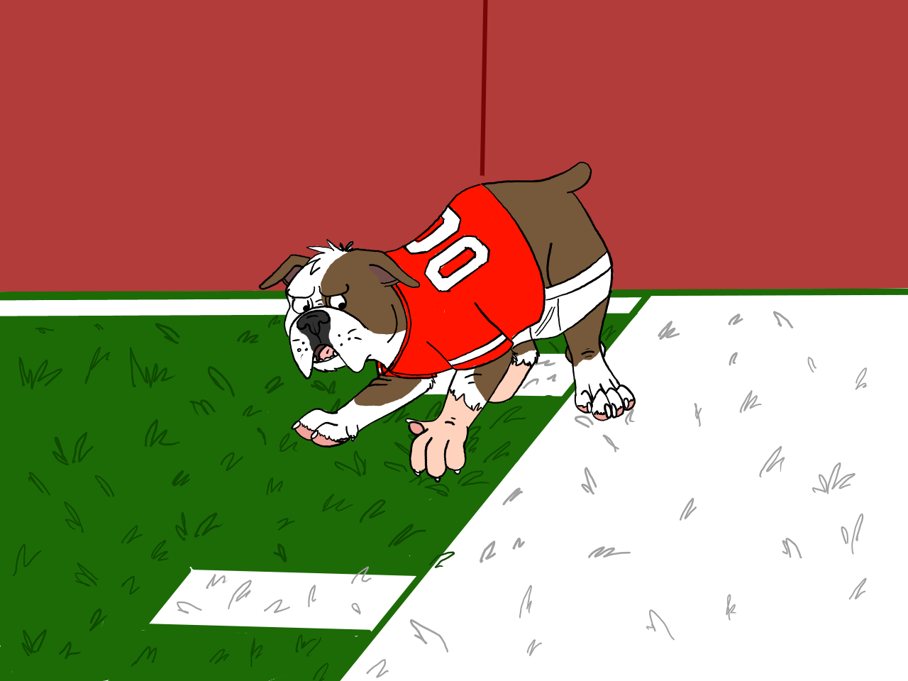 English Bulldog by Edthebordercollie