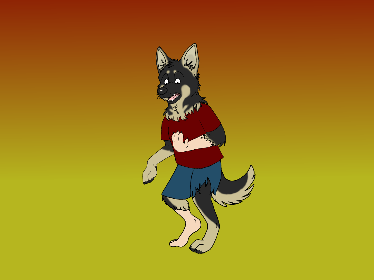 King shepherd by Edthebordercollie