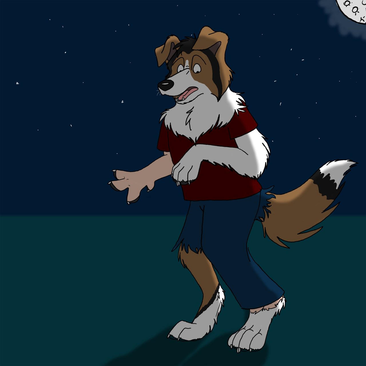 Were Collie by Edthebordercollie