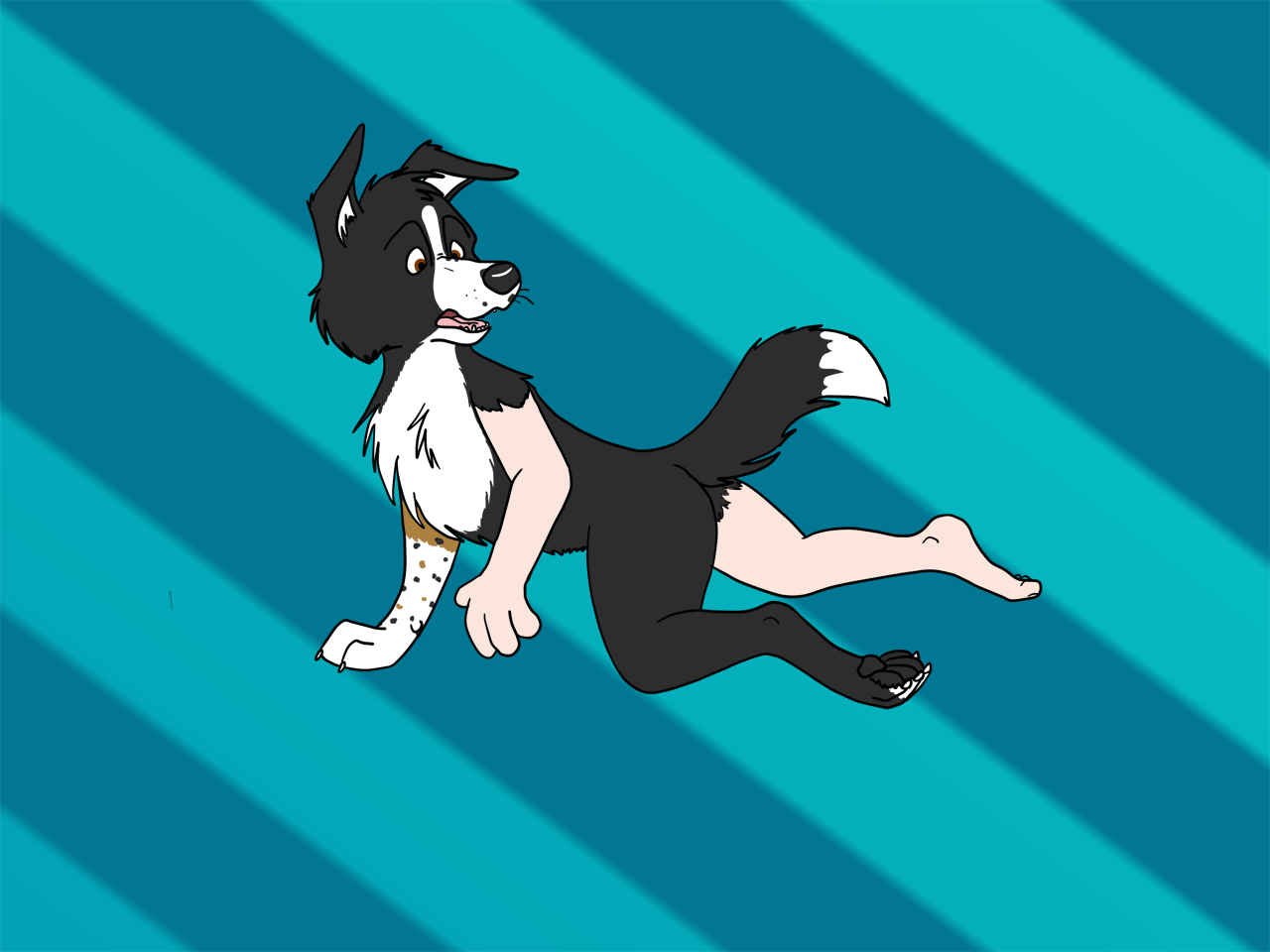 I have a tail? by Edthebordercollie