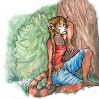 Sequence Image 3