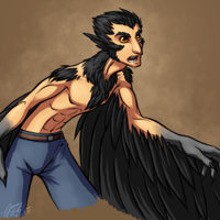 Hawk Shift by Evion