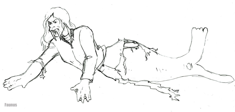 walrus by Faunus