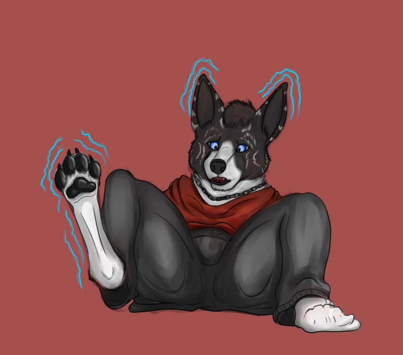 Akita Transformation by Fazar