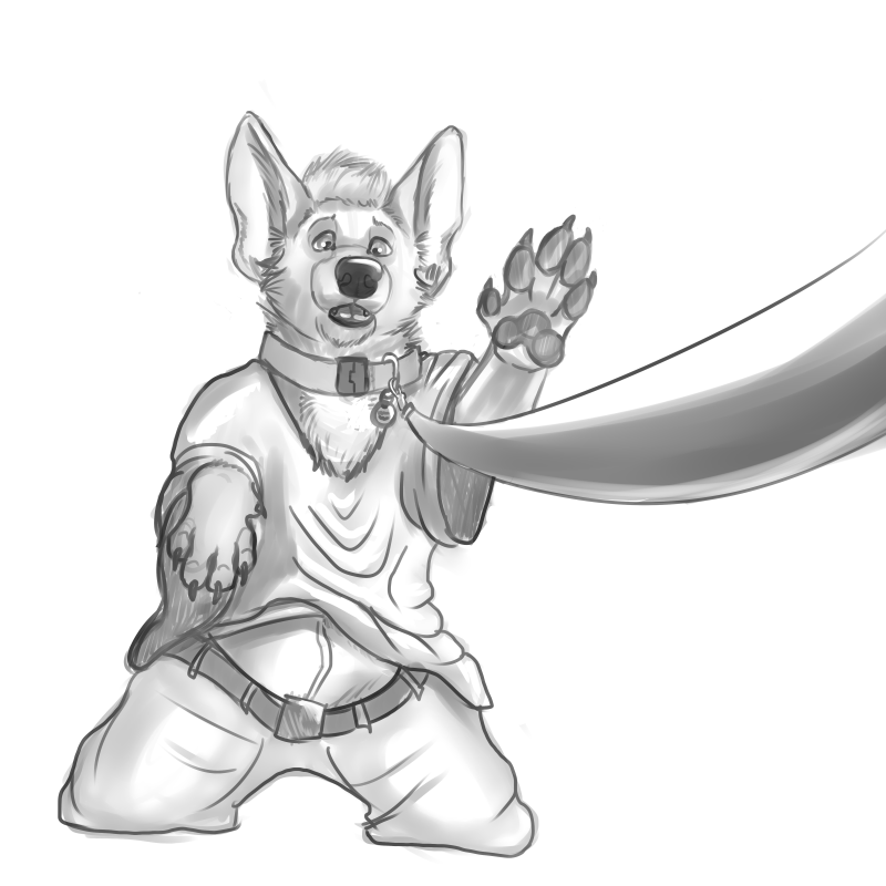 Magic Leash by Fazar