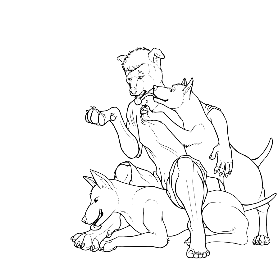 TF by Licks by Fazar