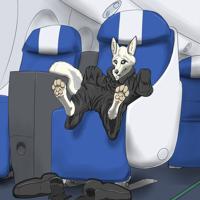 Plane Fox by Fazar