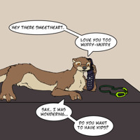 Sequence Image 5