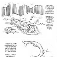 Sequence Image 3
