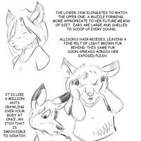 Sequence Image 6