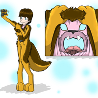 Sequence Image 3