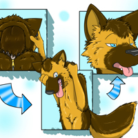 Sequence Image 4