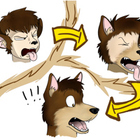 Sequence Image 3