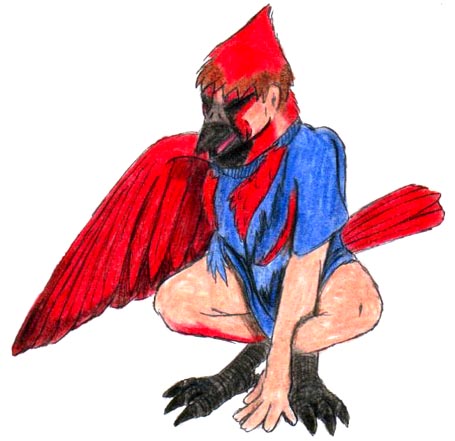 Cardinal by Foxx