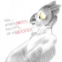 Hoot by Foxx