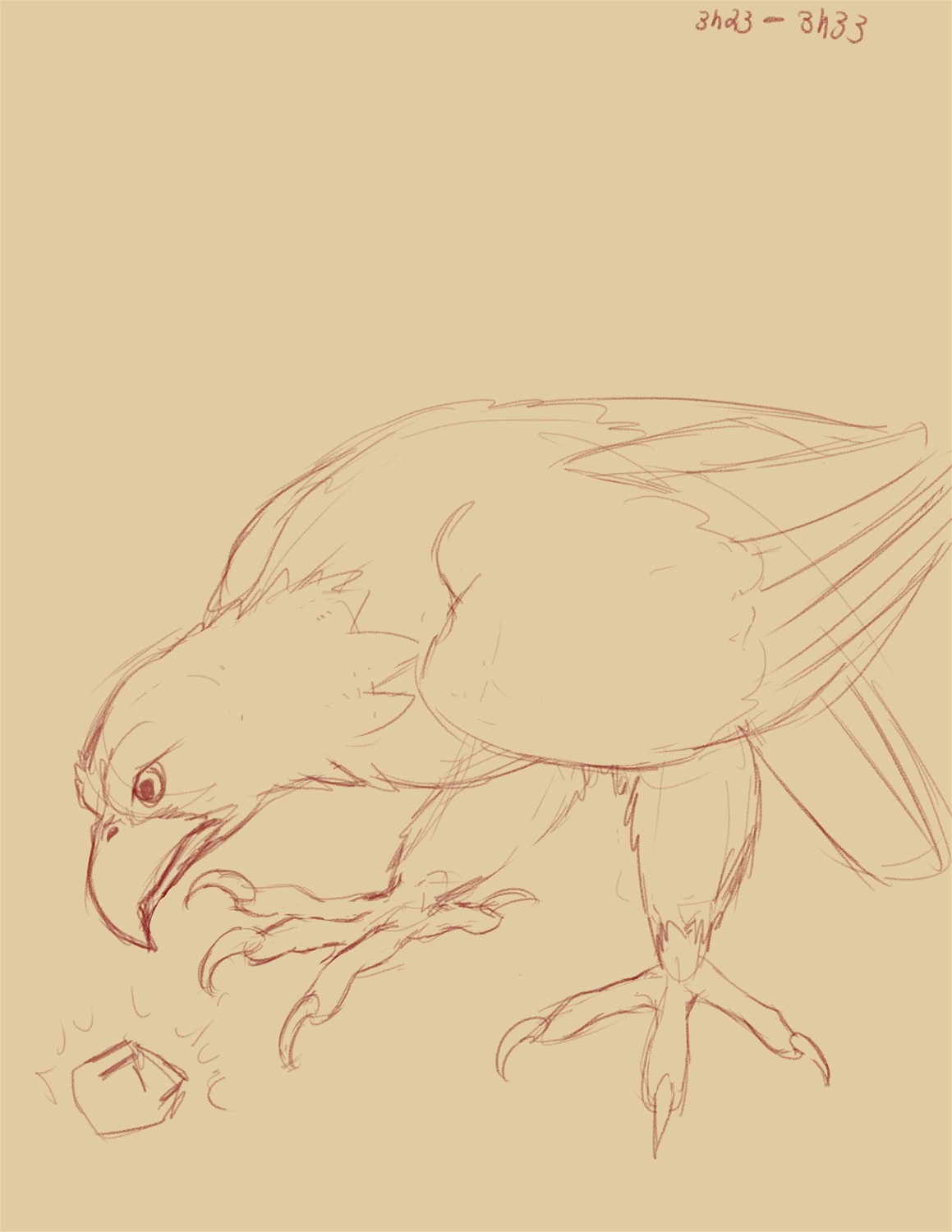 Commission: Feral Eagle to Anthro by Fringedog