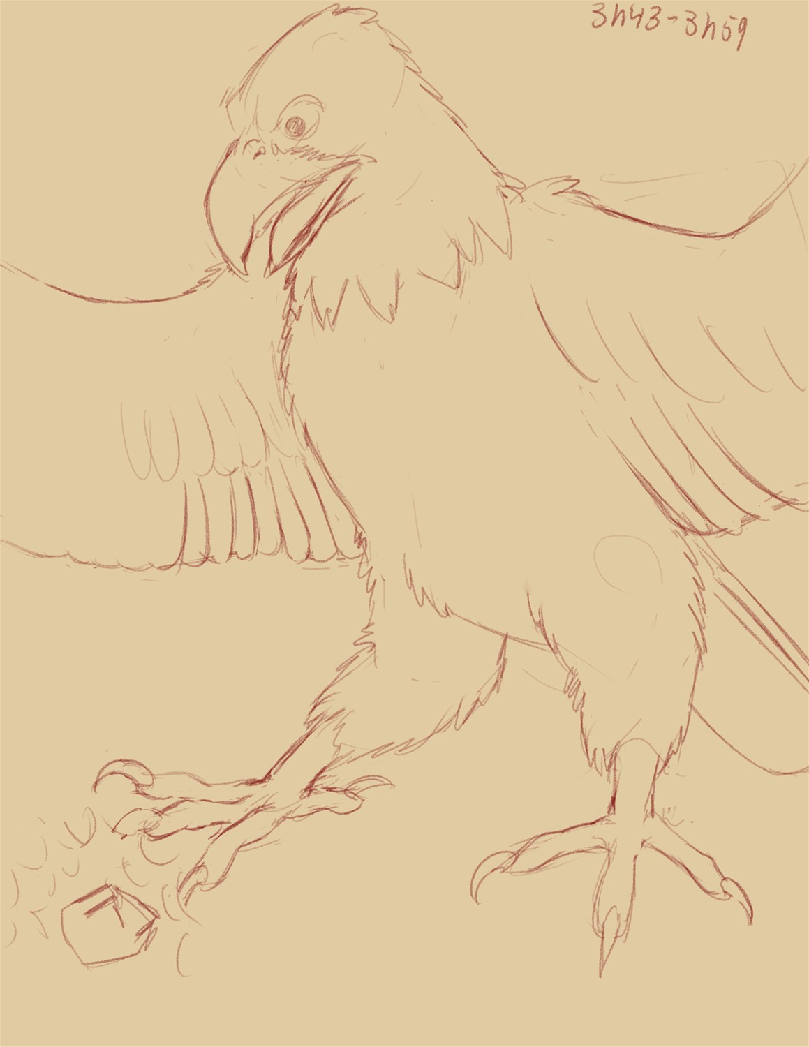 Commission: Feral Eagle to Anthro by Fringedog