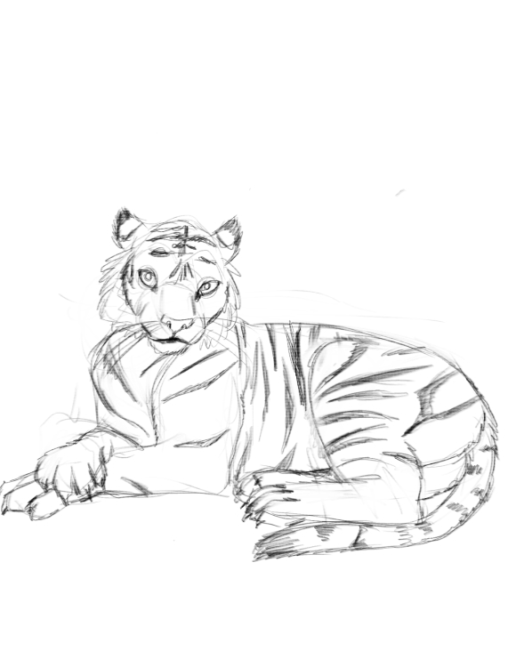 Commission: Tigress to Anthro by Fringedog