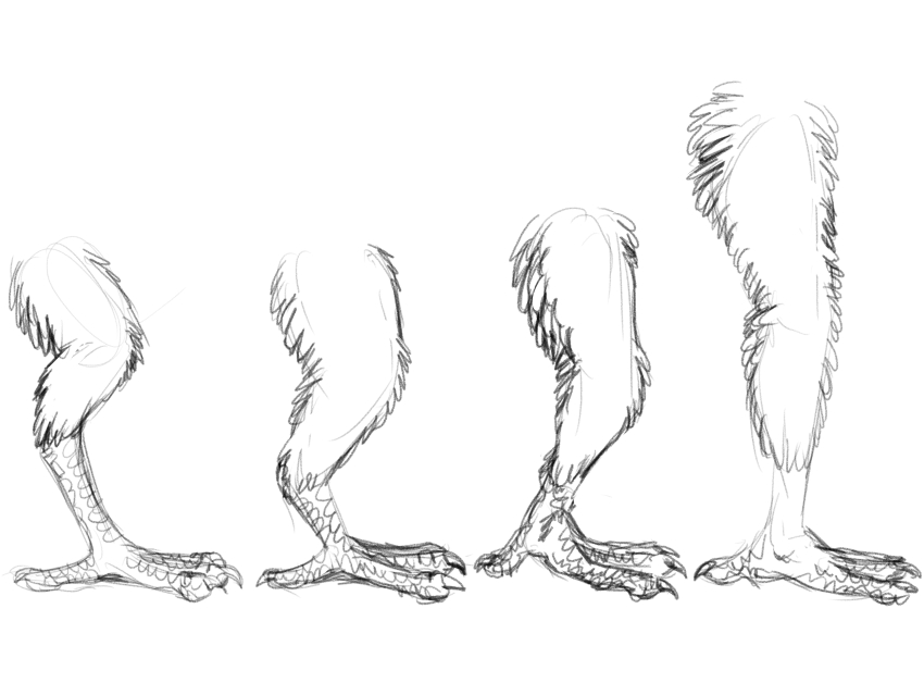 Commission: Leg study by Fringedog