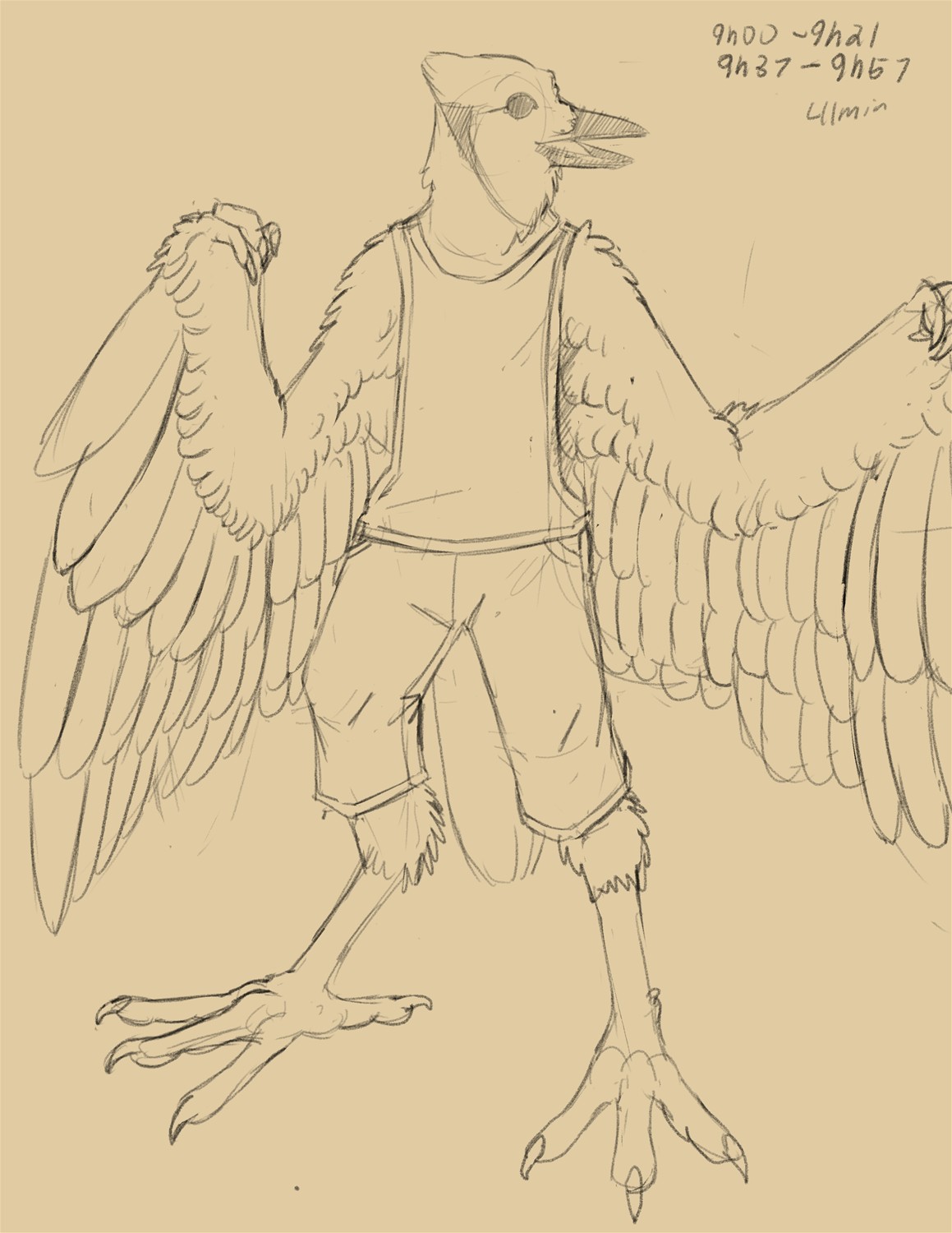 Commission: Feral to Anthro bluejay by Fringedog