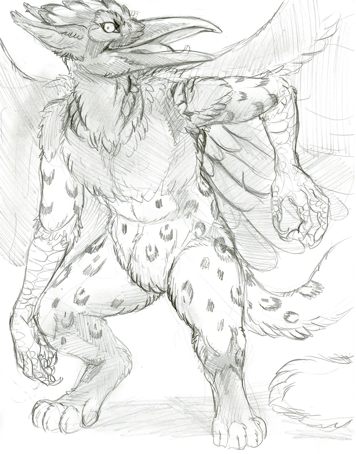 [Commission]When gryphons meets wereravens by Fringedog