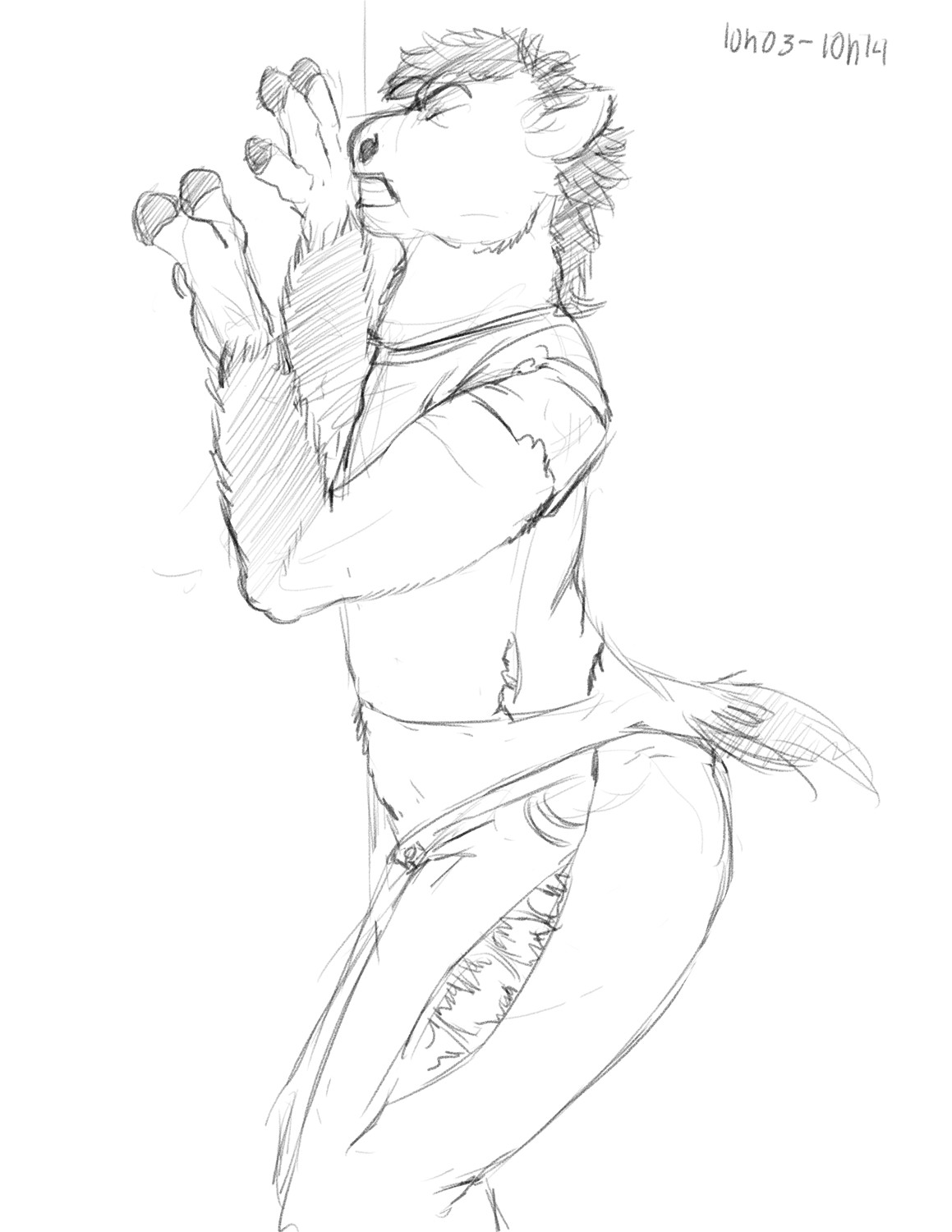 Commission: Horse TF for Dragoniade by Fringedog