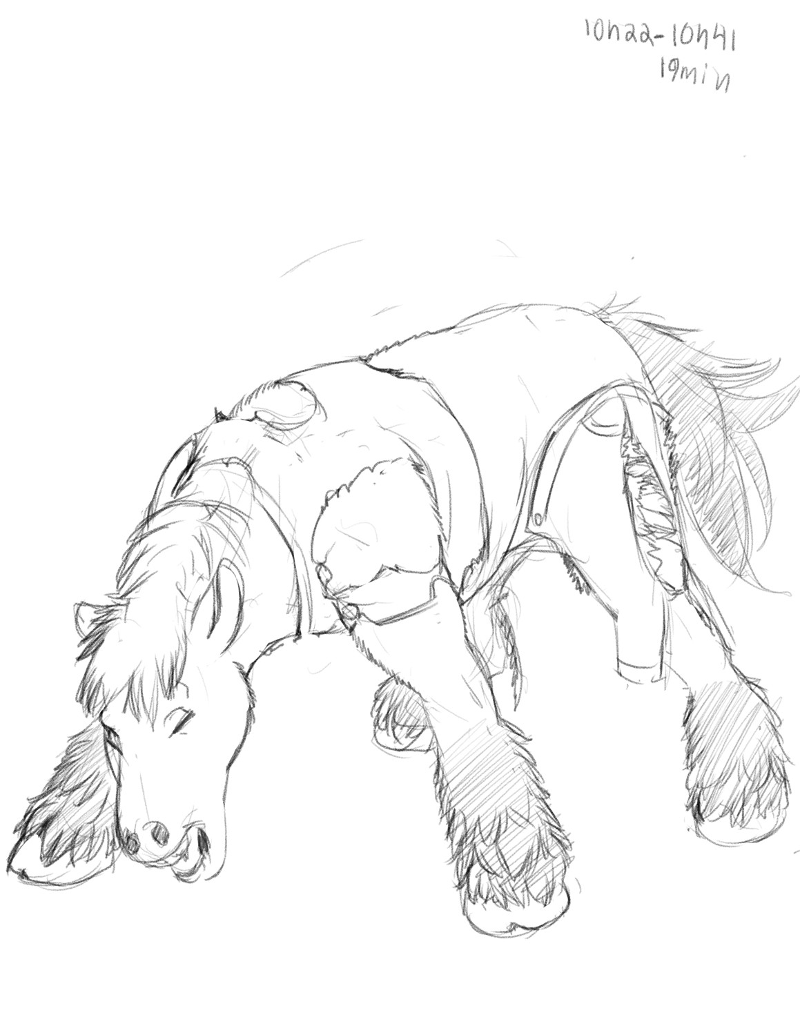 Commission: Horse TF for Dragoniade by Fringedog