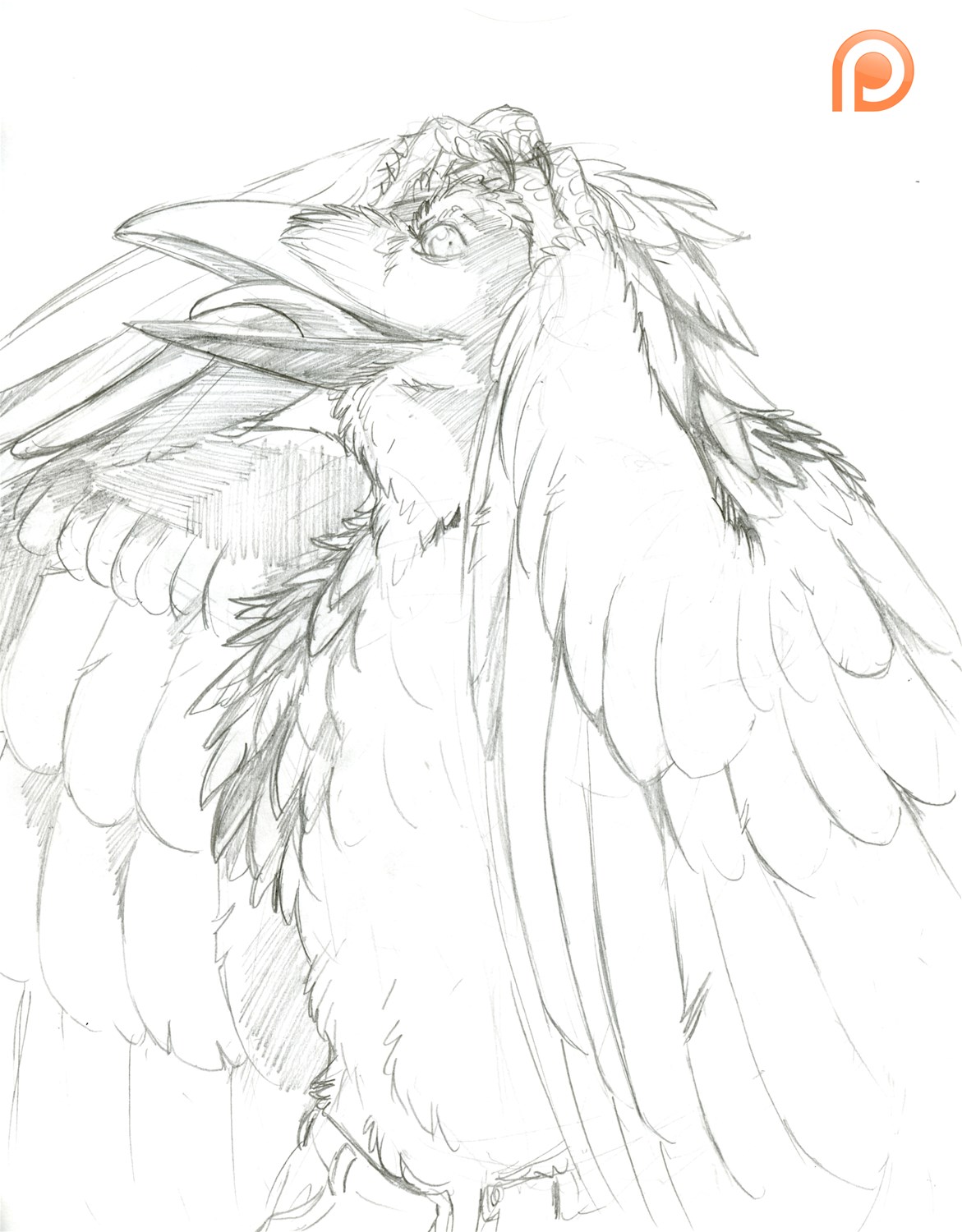[Patreon]-Raven Lady by Fringedog