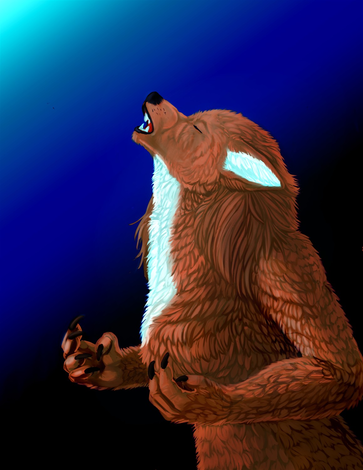 Wolf by Fringedog