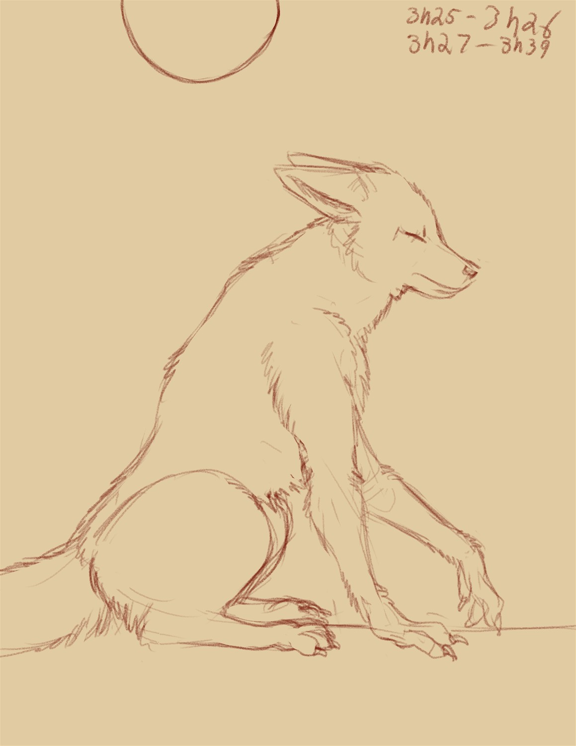 Commission: Feral Wolf to Anthro by Fringedog