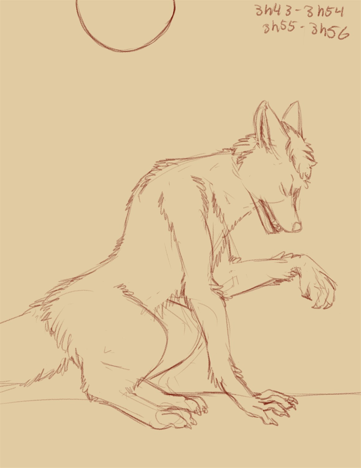 Commission: Feral Wolf to Anthro by Fringedog